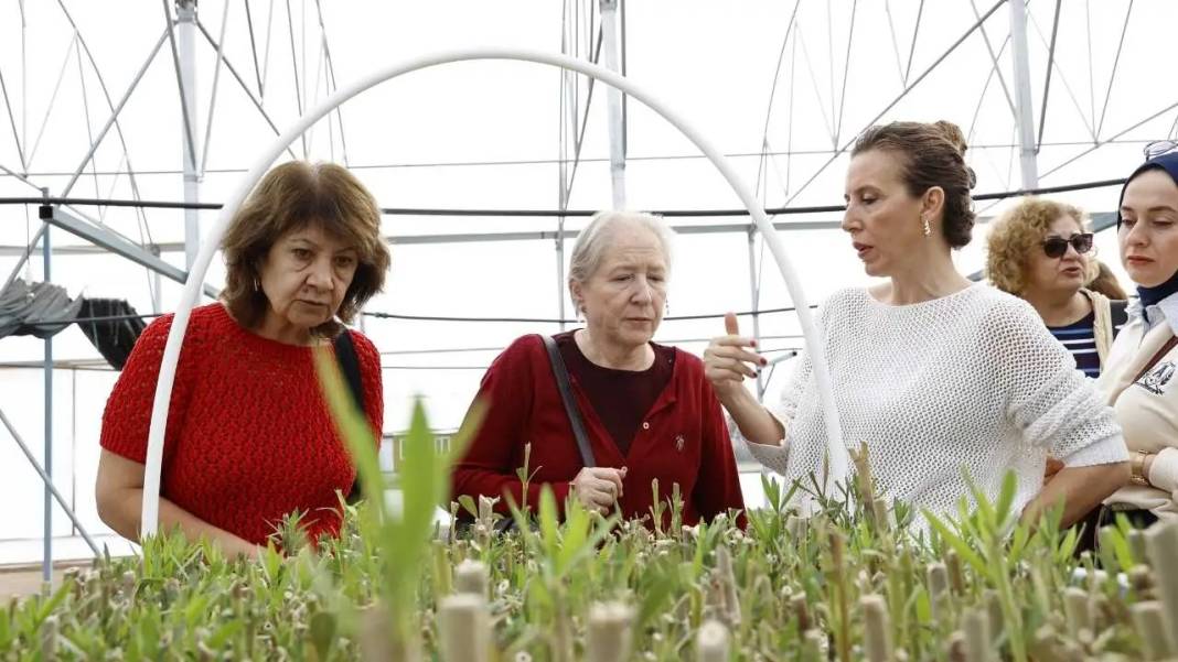 ATASEM’de Toprakla Buluşan Kursiyerler Teoriden Pratiğe Uzanıyor! 3